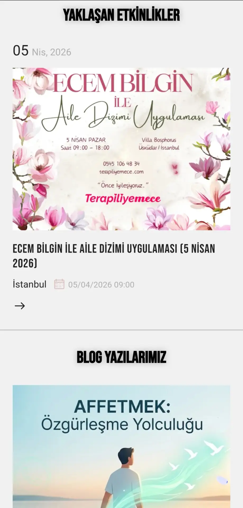 Terapiliyemece Mobil 2