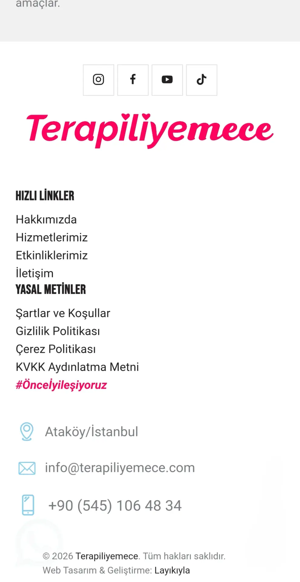 Terapiliyemece Mobil 5